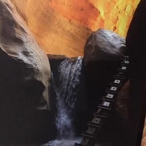 Meet your Posher, Wanda